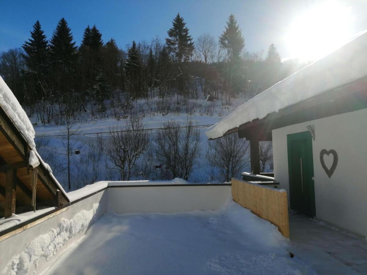 Apartment In Dienten With Mountain Views Dienten am Hochkönig Zewnętrze zdjęcie