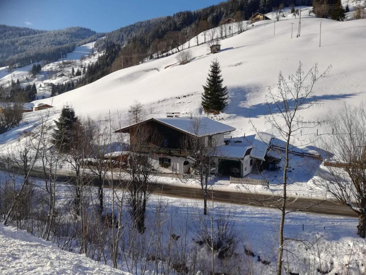 Apartment In Dienten With Mountain Views Dienten am Hochkönig Zewnętrze zdjęcie